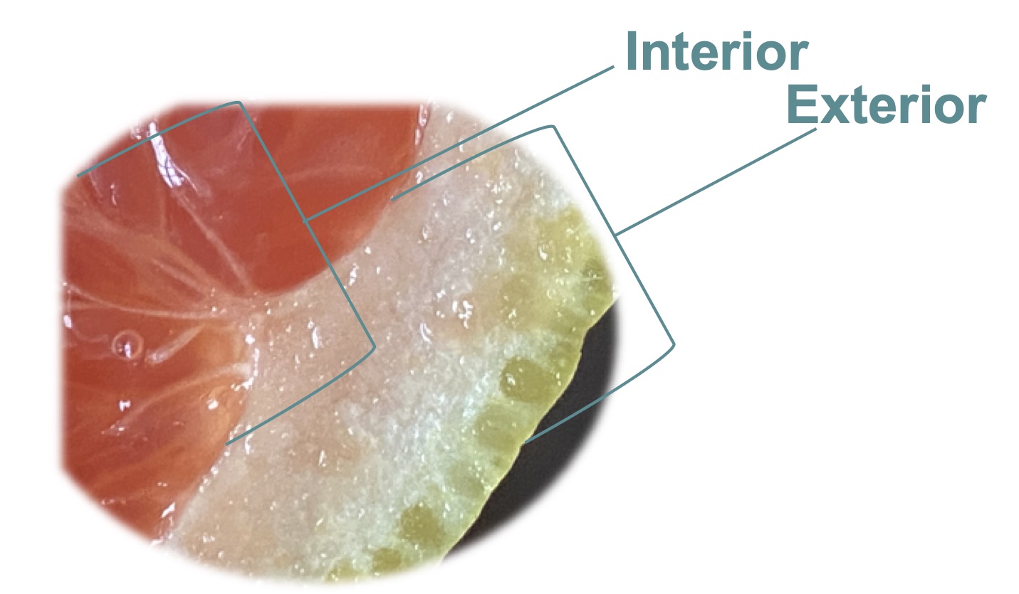 Lab 1 Remote Procedures